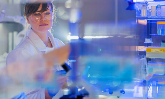 lab